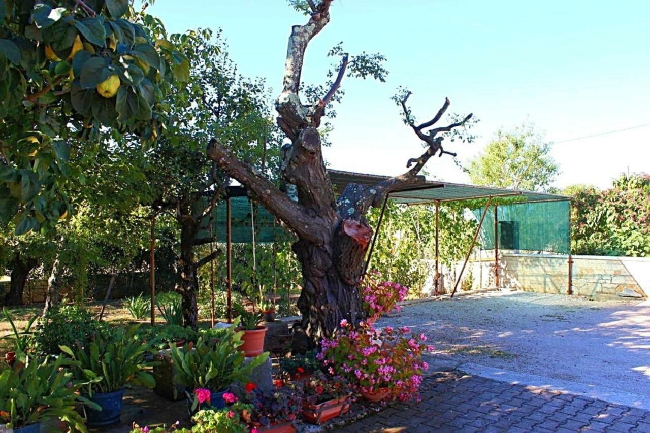Palmira Apartman Poreč Kültér fotó